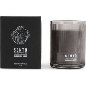 Salt&Pepper - Geurkaars - 220g - blooming rose - Sento