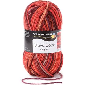 Schachenmayr Bravo Color 50 Gram - 2087