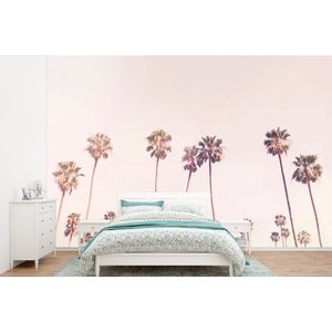 Palmbomen - Zon - Natuur - Lucht - Behangpapier