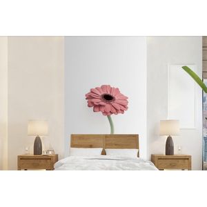 Bloemen - Roze - Natuur - Wit - Plant - Behangpapier
