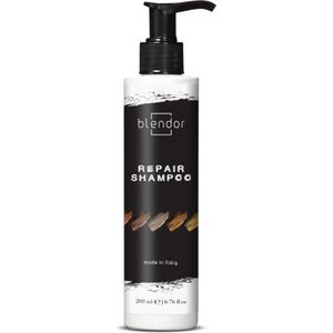 Blendor Repair Shampoo
