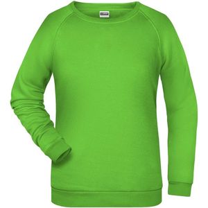 James And Nicholson Dames/dames Basic Sweatshirt (Kalk groen)