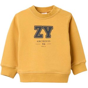 Zippy 3107487101 Sweatshirt Geel 6-9 Months Jongens