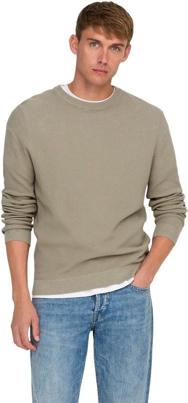 Only & Sons - ONSTONY - Gebreide Trui - Beige