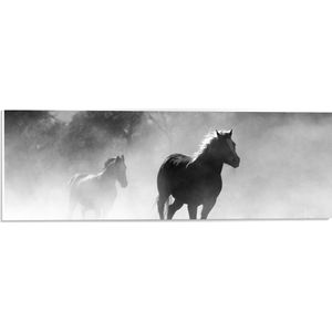 WallClassics - PVC Schuimplaat- Galoperende Paarden bij het Bos (Zwart-wit) - 60x20 cm Foto op PVC Schuimplaat