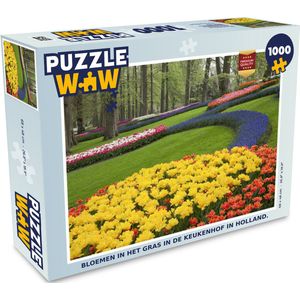Puzzel Bloemen in het gras in de Keukenhof in Holland. - Legpuzzel - Puzzel 1000 stukjes volwassenen