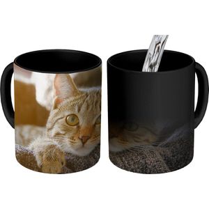 Magische Mok - Foto op Warmte Mokken - Koffiemok - Kat - Mand - Kleed - Magic Mok - Beker - 350 ML - Theemok