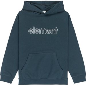 Element Central Lowcase Hoodie Grijs 14 Years Jongens