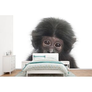 Aap - Dieren - Natuur - Chimpansee - Behangpapier