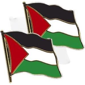 Set van 2x stuks pin Vlag Palestina 20 mm - Landen thema artikelen
