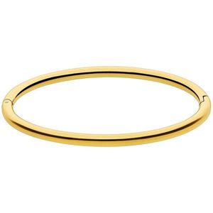 Lucardi Dames Stalen goldplated bangle - Armband - Staal - Goud - 58 dm