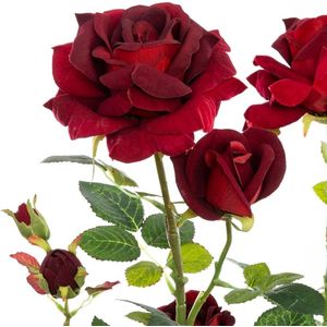 Decoratieve kunstmatige planten rozen fluweel 74 cm - Overig - Rood - Rouge - SILUMEN