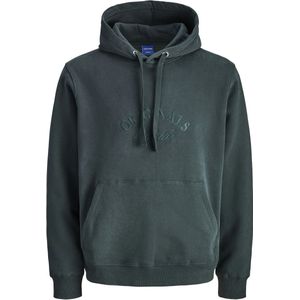 Jack & Jones Bleecker Branding Hoodie Heren (plussize) - Maat 4XL