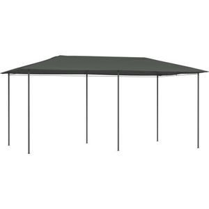 vidaXL - Prieel - 160 - g/m² - 2,98x5,3x2,59 - m - antracietkleurig