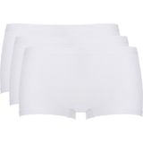 Basics shorts /2xl voor Dames | Maat XXL