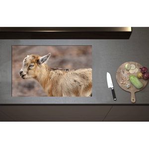 Inductieplaat Beschermer - Bruine Baby Geit met Felblauwe Ogen - 80x52 cm - 2 mm Dik - Inductie Beschermer - Bescherming Inductiekookplaat - Kookplaat Beschermer van Wit Vinyl