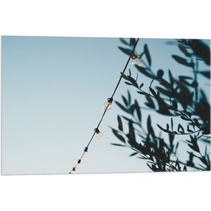 WallClassics - Vlag - Lampslinger bij Groene Takken - 75x50 cm Foto op Polyester Vlag