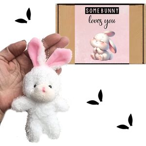 cadeau Knuffel konijntje somebunny loves you | sleutelhanger | voor partner, familie, vrienden juf of geliefde