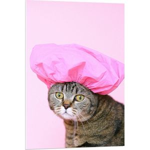 PVC Schuimplaat - Bruine Kat met Roze Badmuts tegen Roze Achtergrond - 70x105 cm Foto op PVC Schuimplaat (Met Ophangsysteem)