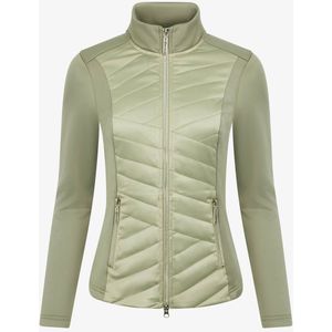 Lemieux Jas Lemieux Dynamique Groen