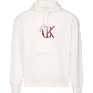 Calvin Klein Jeans Eu 350 Terry Graphic Hoodie