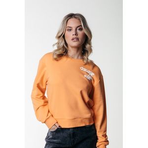 Colourful Rebel Logo Wave Relaxed Sweat - XS