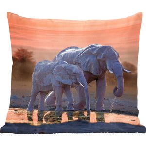 Sierkussens - Kussentjes Woonkamer - 50x50 cm - Olifant - Dieren - Zonsondergang - Water - Oranje