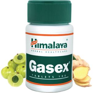 Gasex - Maagtabletten - 100 Tabletten - Kruidencomplex