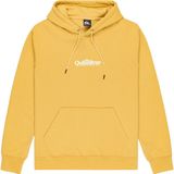 Quiksilver - Screen Fineline - Hoodie - Geel - Regular Fit