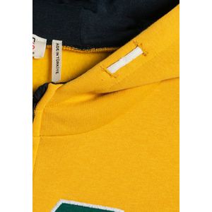 Capuchon kraag Applique Gedetailleerd Kapuzensweatshirt