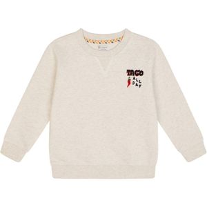 Noppies - Trui Lexora - Oatmeal - Sweater