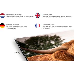 Spatscherm keuken 120x80 cm - Kookplaat achterwand Schotse Hooglanders - Bruin - Gras - Muurbeschermer - Spatwand fornuis - Hoogwaardig aluminium