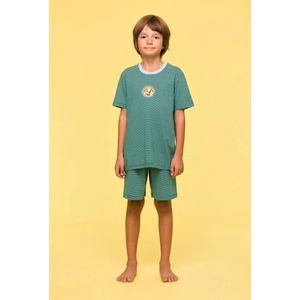 Woody pyjama jongens/heren - groen gestreept - luiaard - 251-10-PZA-Z/925 - maat 128