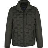 BABISTA - LUCIVELLI - Gewatteerde Jas - Olijf