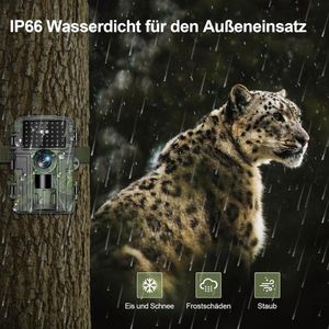 Equivera Wildcamera voor Buiten - Wildcamera met Nachtzicht - WiFi - Hoge Resolutie - Waterdicht - Wild Camera - Premium