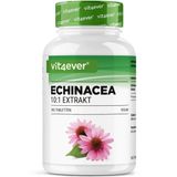 Echinacea - 500 mg - Veganistische Tabletten - 365 Stuks - Natuurlijk Echinacea Extract 10:1 - Hooggedoseerd