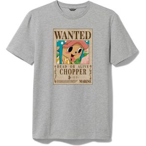Tshirt Grijs Chopper One Piece 100 Berry Wanted Poster Maat XL