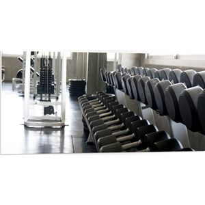 PVC Schuimplaat - Rij Dumbells op Rek in Sportschool - 100x50 cm Foto op PVC Schuimplaat (Met Ophangsysteem)