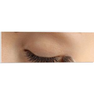 PVC Schuimplaat- Foto van Oogschaduw Kwast op Ooglid - 60x20 cm Foto op PVC Schuimplaat