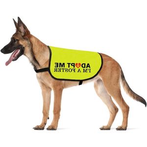 Autoclips - Set van 240 stuks met handige verwijdertool