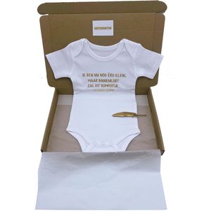 Zwangerschapsaankondiging - aankondiging zwangerschap op romper - ook rechtstreekse verzending mogelijk met kaartje