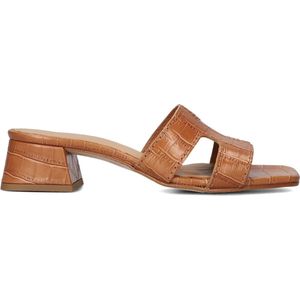Notre-V As-16621 Hakken Dames - Bruin - Maat 39