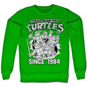 Teenage Mutant Ninja Turtles Sweater/trui -S- Distressed Since 1984 Groen