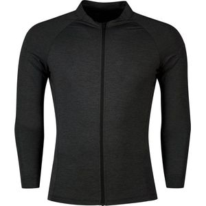 Giro New Road Lange Mouwen Fietsshirt Grijs L Man