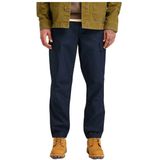 Timberland - Baxter Peak - Cargobroek - Blauw - Met Odor Control