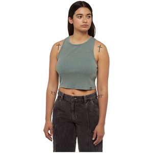 Dickies Newington Mouwloos T-shirt Grijs 2XS Vrouw