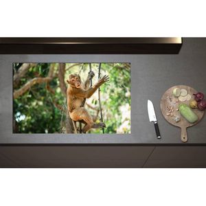 Inductieplaat Beschermer - Aap hangt en zit op takken in de jungle - 85x52 cm - 2 mm Dik - Inductie Beschermer - Bescherming Inductiekookplaat - Kookplaat Beschermer van Wit Vinyl