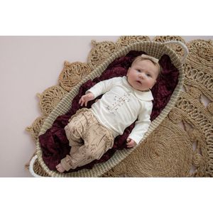 Frogs and Dogs - Winter Flower Shirt Love Hearts is in the Air - Roze - Maat 62 -