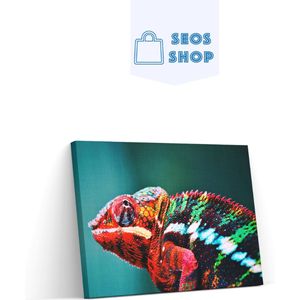 SEOS Shop ® Diamond Painting Volwassenen - Diamond Painting Kinderen - Diamond Painting Pakket Volledig - kameleon - 45x30 cm