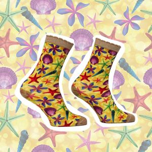 Sock My Feet - Sock my seastar